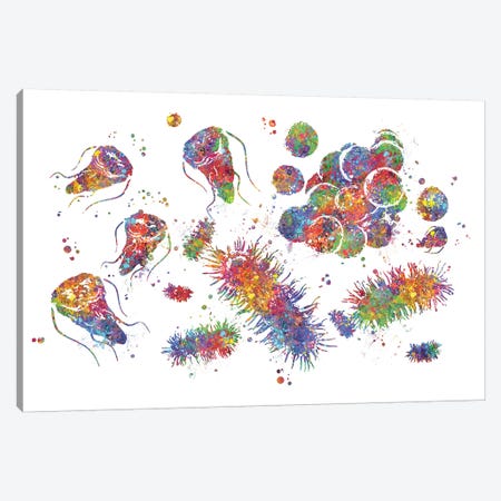 Cytology Canvas Print #GFA29} by Genefy Art Canvas Wall Art