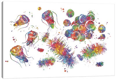 Cytology Canvas Art Print - Genefy Art