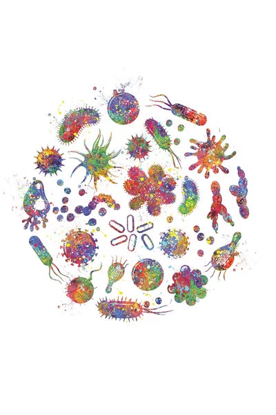 Biology: Bacteria by Genefy Art