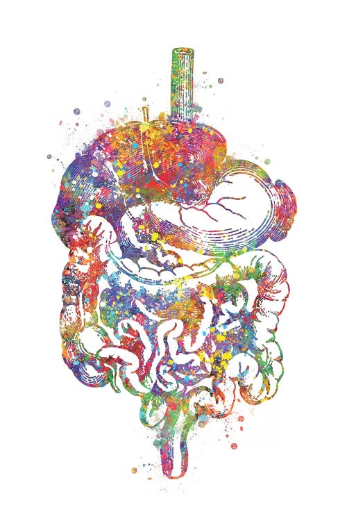 Digestive Tract I by Genefy Art wall art