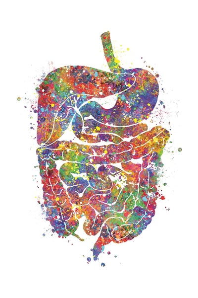 Biology: Digestive Tract II by Genefy Art