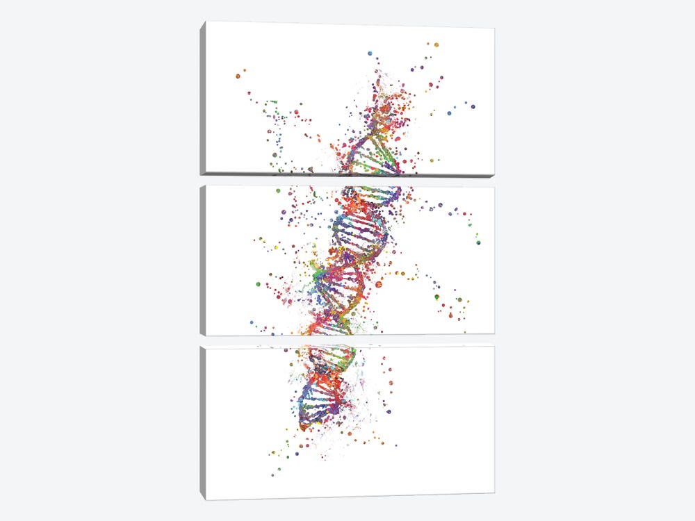 DNA by Genefy Art 3-piece Canvas Print