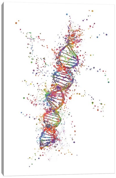 DNA Canvas Art Print - Educational Art