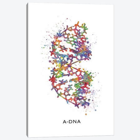 DNA A Canvas Print #GFA35} by Genefy Art Canvas Art