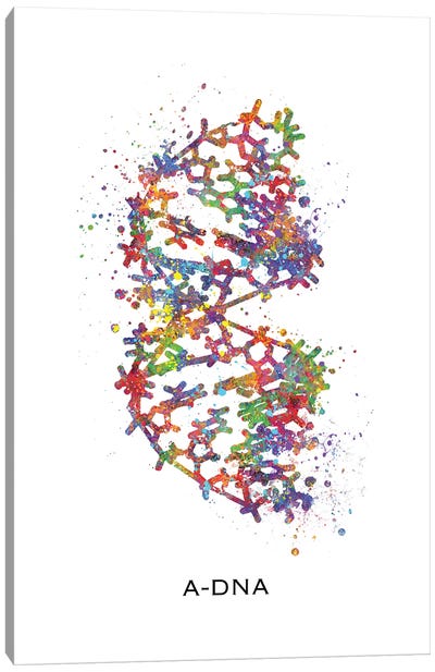 DNA A Canvas Art Print - Kids Educational Art