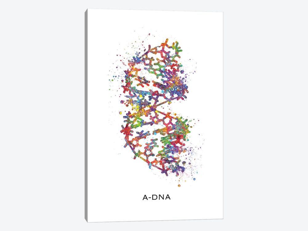 DNA A by Genefy Art 1-piece Canvas Artwork