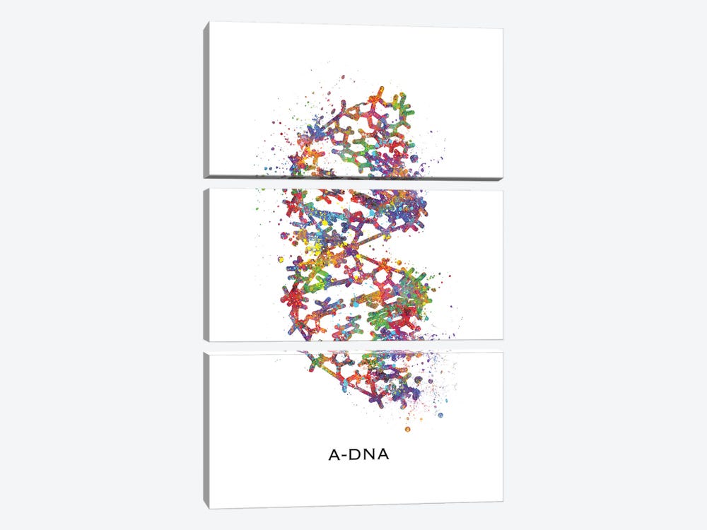 DNA A by Genefy Art 3-piece Canvas Art