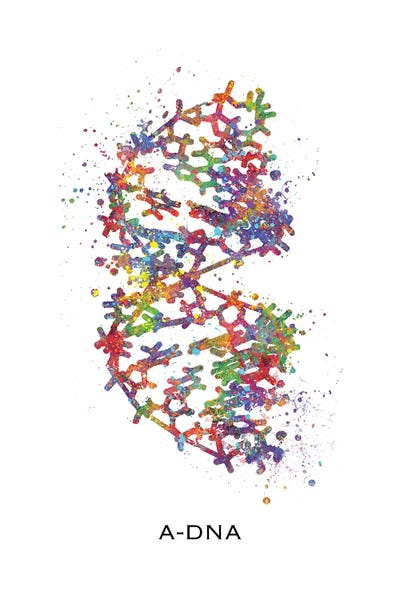 Kids Educational Art: DNA A by Genefy Art