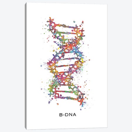 DNA B Canvas Print #GFA37} by Genefy Art Canvas Artwork