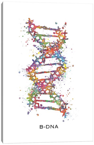 DNA B Canvas Art Print - Kids Educational Art