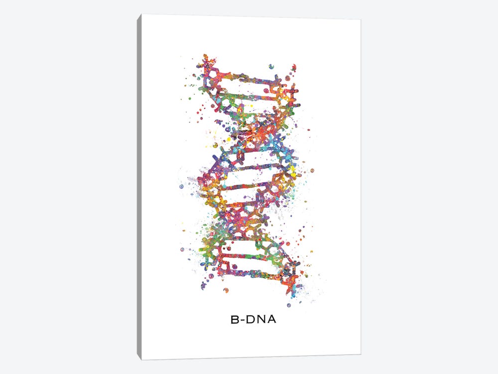 DNA B by Genefy Art 1-piece Canvas Wall Art
