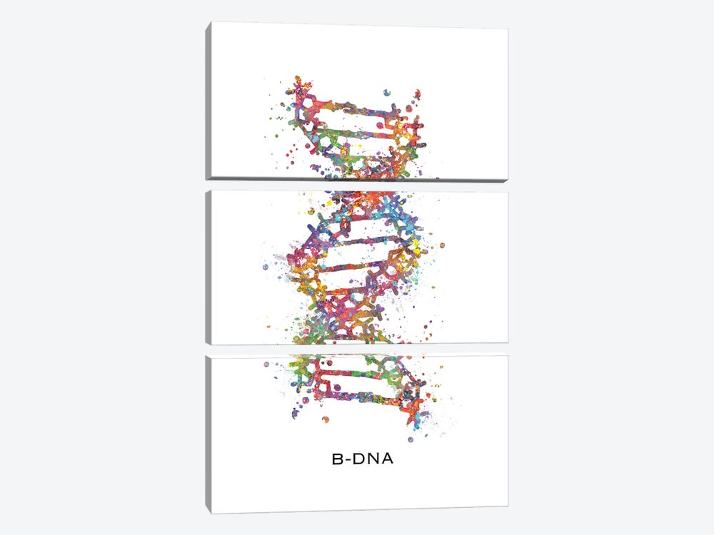 DNA B by Genefy Art 3-piece Canvas Artwork