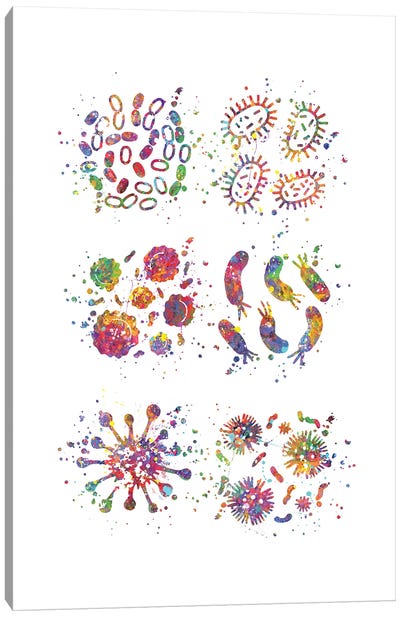 Bacteria Set Canvas Art Print - Genefy Art