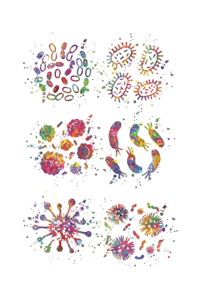 Science: Bacteria Set by Genefy Art