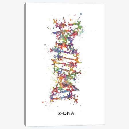 DNA Z Canvas Print #GFA40} by Genefy Art Canvas Wall Art