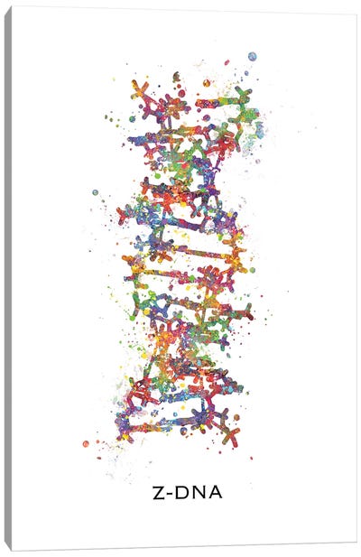 DNA Z Canvas Art Print - Genefy Art