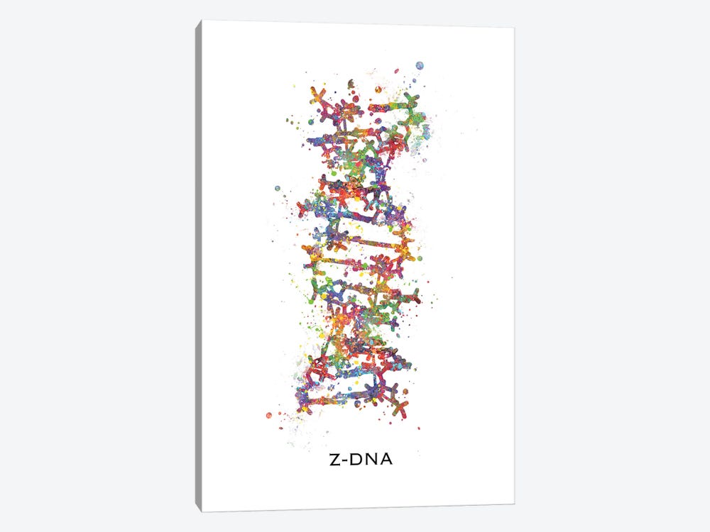 DNA Z by Genefy Art 1-piece Canvas Art