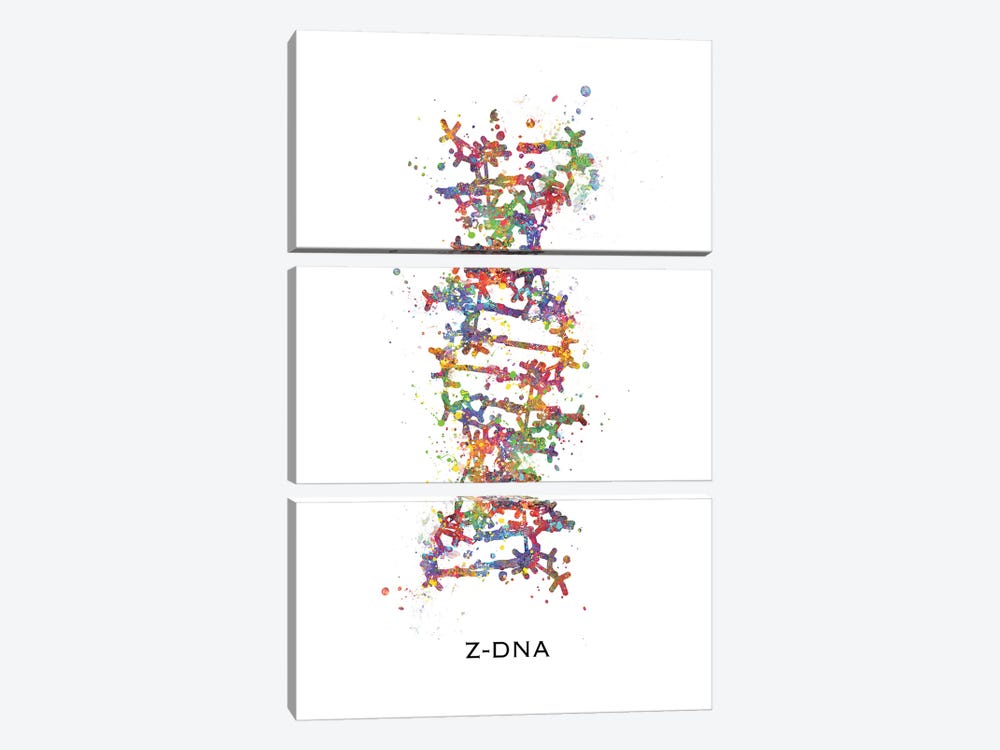 DNA Z by Genefy Art 3-piece Canvas Artwork