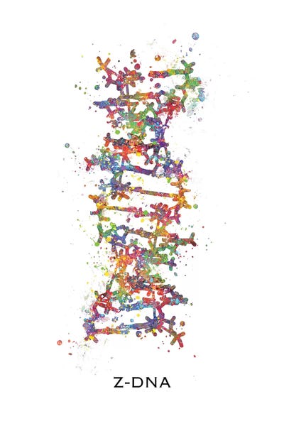 Kids Educational Art: DNA Z by Genefy Art