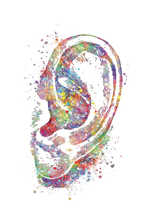 Ear