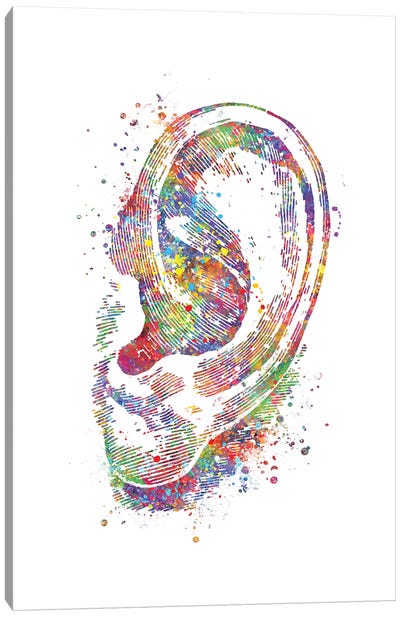 Ear Canvas Art Print - Anatomy Art