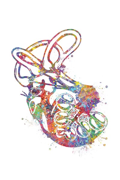 Biology: Ear Inner by Genefy Art