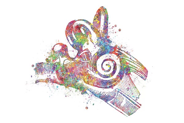 Biology: Ear Inner I by Genefy Art