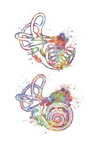 Biology: Ear Inner II by Genefy Art