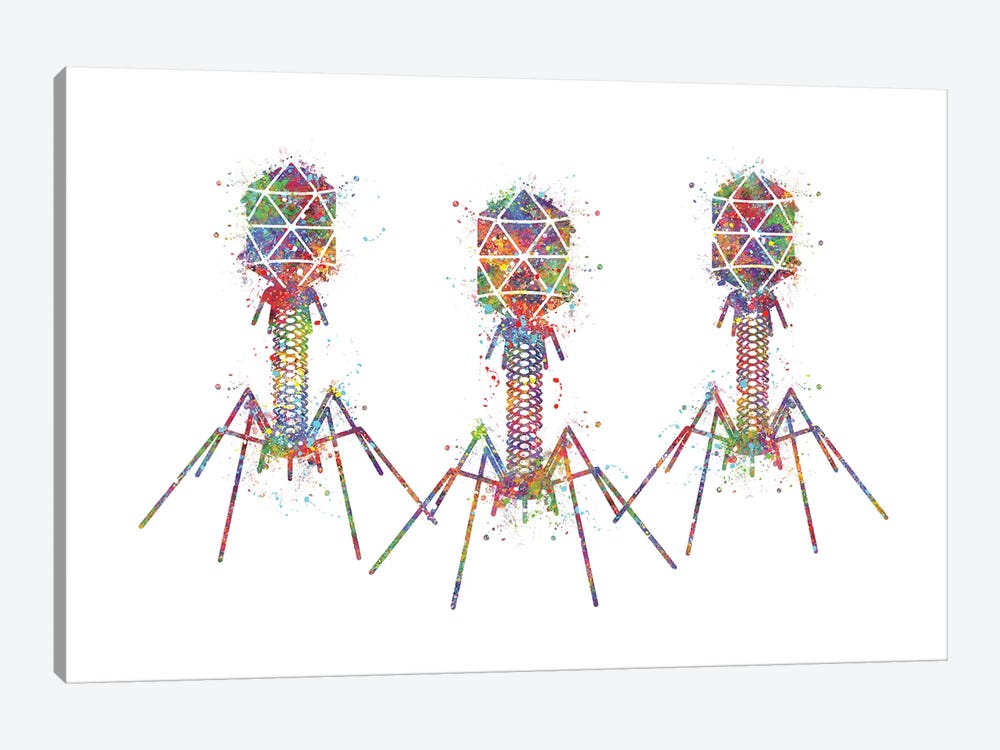 Bacteriophage III by Genefy Art 1-piece Canvas Artwork