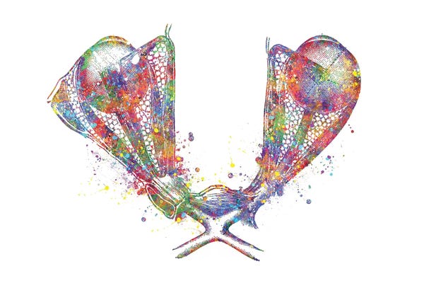 Biology: Eye Muscle by Genefy Art