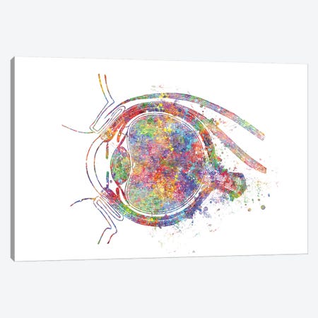 Eye Socket Canvas Print #GFA52} by Genefy Art Canvas Print
