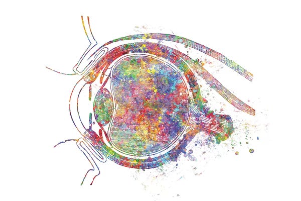 Genefy Art: Eye Socket by Genefy Art