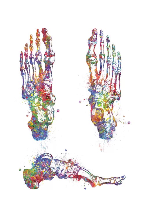 Foot Bone I by Genefy Art wall art