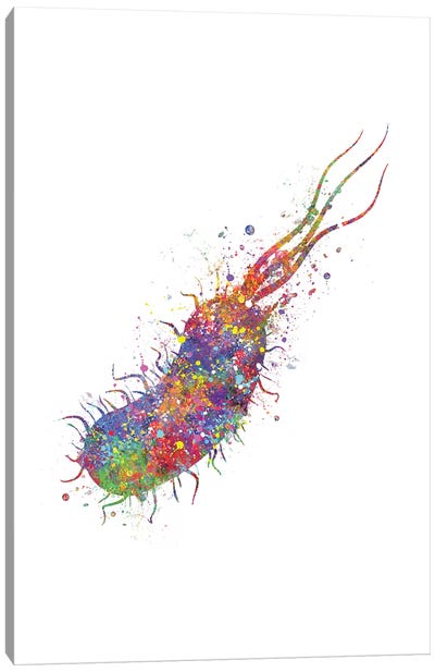 Bacterium Canvas Art Print - Genefy Art