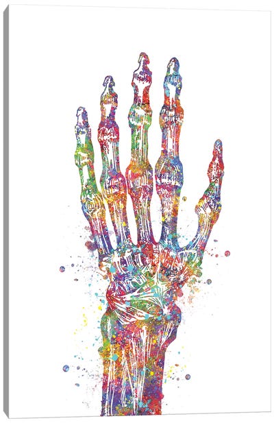 Hand Bone Canvas Art Print - Anatomy Art