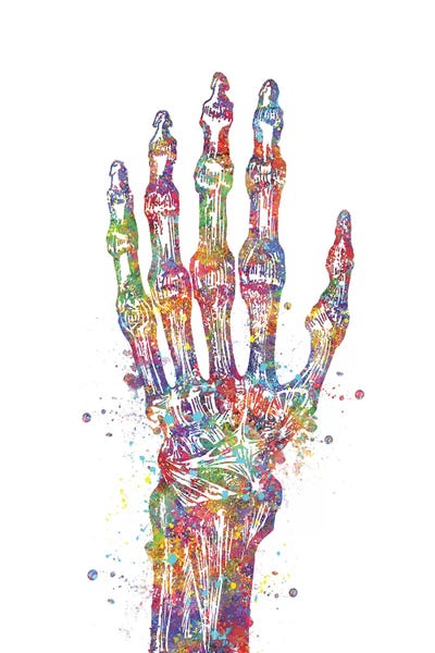 Biology: Hand Bone by Genefy Art