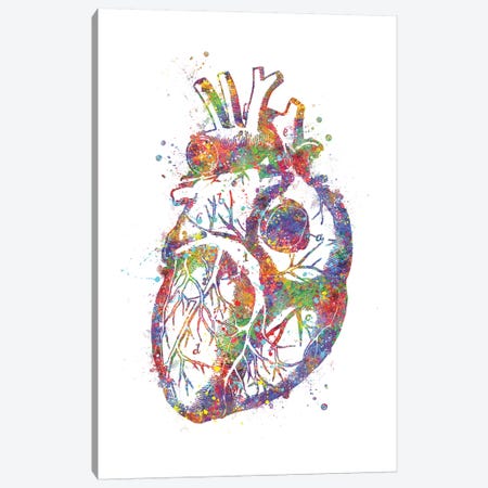 Heart Anatomy Canvas Print #GFA62} by Genefy Art Canvas Wall Art