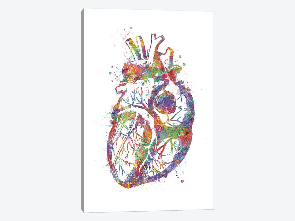 Heart Anatomy by Genefy Art 1-piece Canvas Artwork