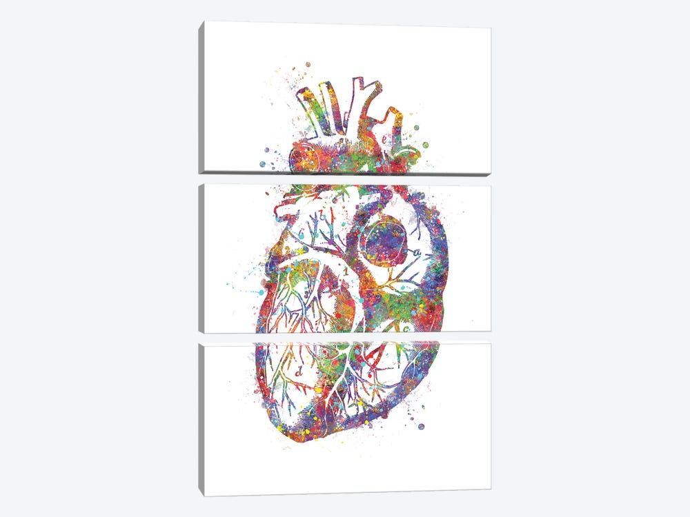 Heart Anatomy by Genefy Art 3-piece Canvas Art