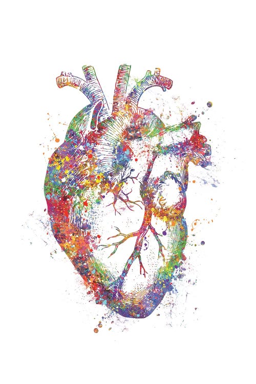 Heart Anatomy Fig by Genefy Art wall art