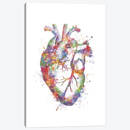 Heart Anatomy Fig Canvas Print #GFA63} by Genefy Art Canvas Wall Art