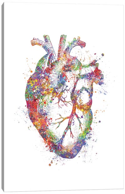 Heart Anatomy Fig Canvas Art Print - Kids Educational Art