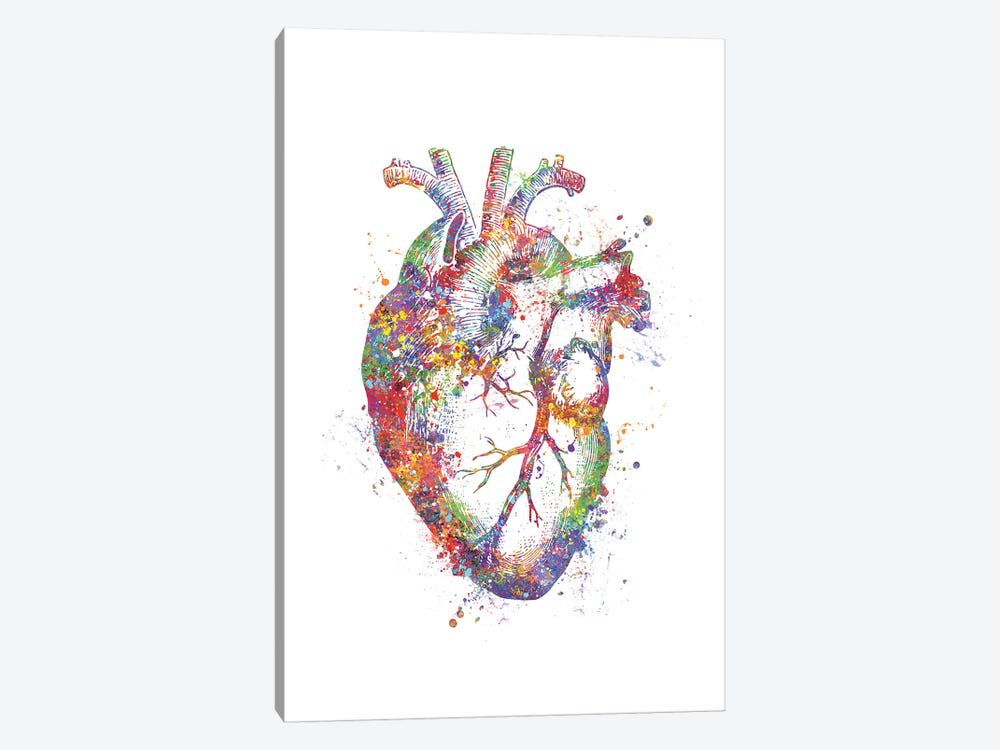 Heart Anatomy Fig by Genefy Art 1-piece Canvas Art Print