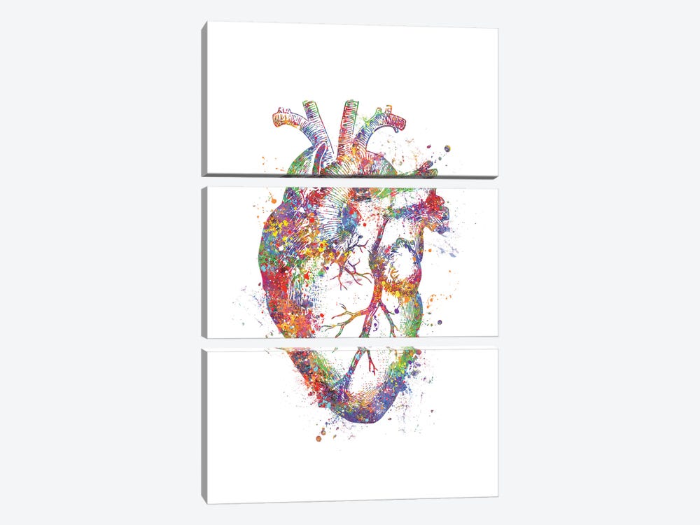 Heart Anatomy Fig by Genefy Art 3-piece Art Print