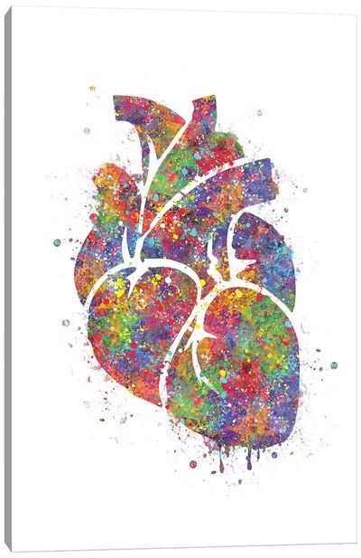 Heart Anatomy III Canvas Art Print - Heart Art