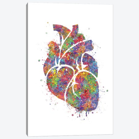Heart Anatomy III Canvas Print #GFA64} by Genefy Art Canvas Art Print