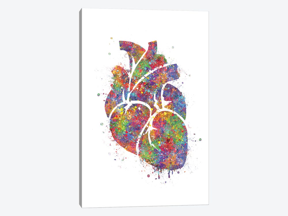 Heart Anatomy III by Genefy Art 1-piece Canvas Wall Art