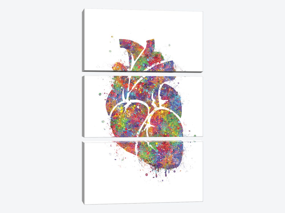 Heart Anatomy III by Genefy Art 3-piece Canvas Artwork