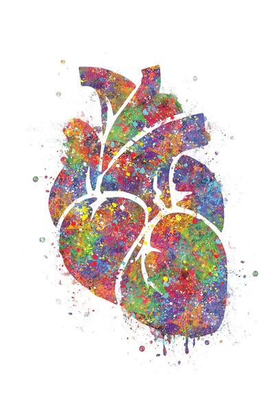 Science: Heart Anatomy III by Genefy Art