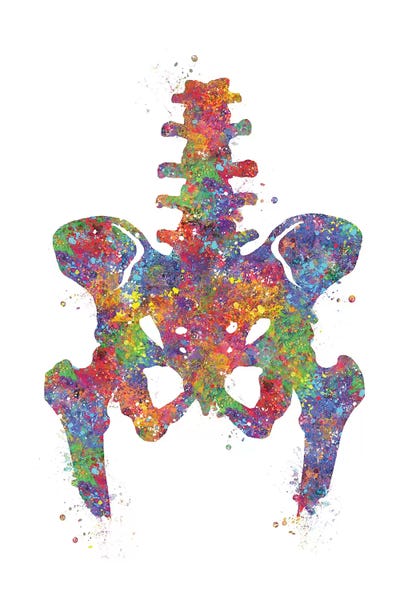 Biology: Hip by Genefy Art